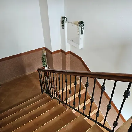Guest house Cтаи за гости бърдареви