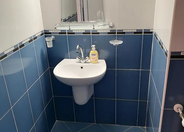 Pensión Cтаи за гости бърдареви 3*