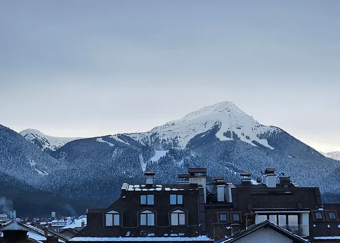 Cтаи за гости бърдареви 3* Банско